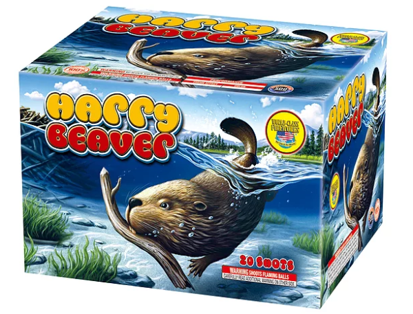 HARRY BEAVER